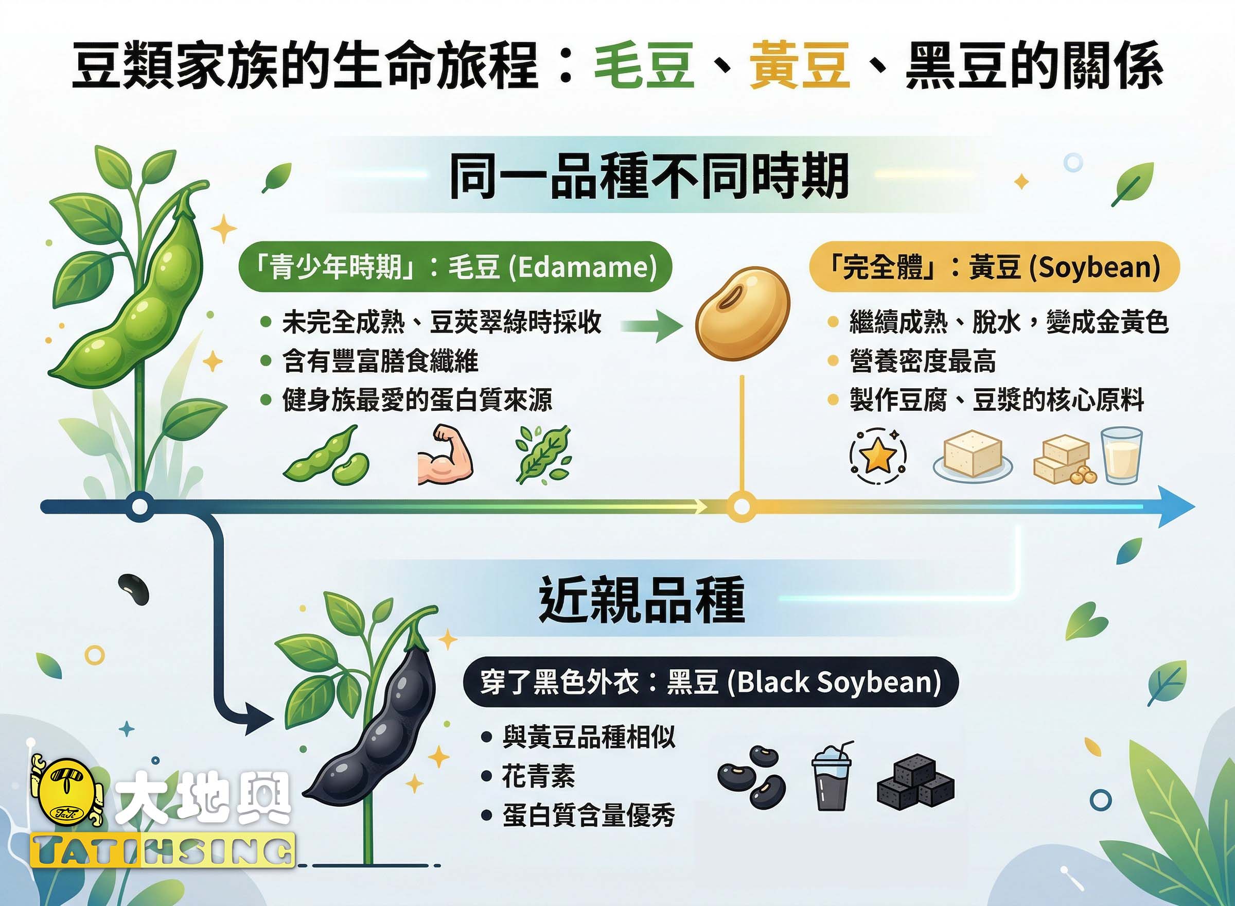 proimages/毛豆黃豆黑豆.jpg proimages/毛豆黃豆黑豆.jpg